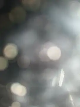 Chanderi19 webcam