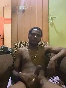 UNCUTKING10inch webcam