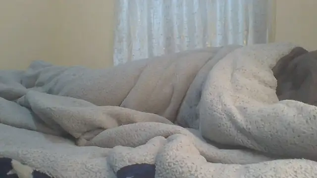 ndivhuwomuleya webcam