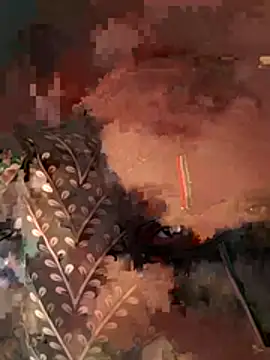 rajstrip12650 webcam