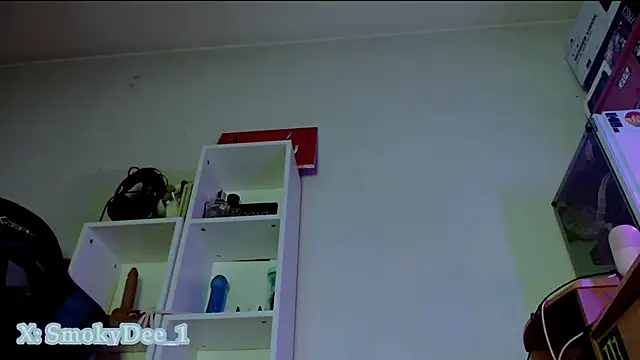 SmokyDee webcam