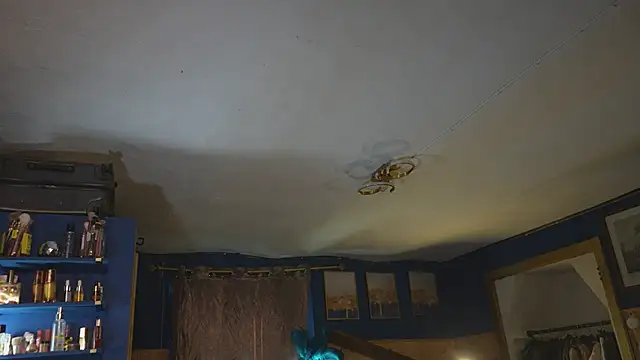VanessaDoyle webcam