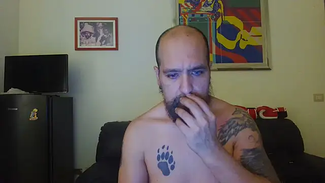 AMIRDIB2025 webcam