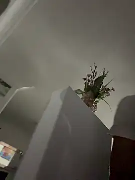 sweetsarabig22cm live cam