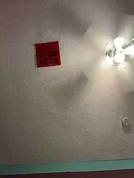 MyHoneyFrida webcam