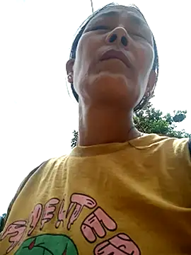 toyo_668 webcam