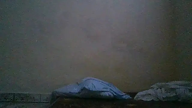 ZADDY_777 live sex cam