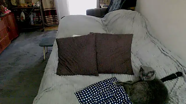 sex2 live cam on StripChat