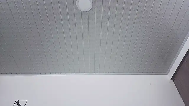 brandy_h9 webcam