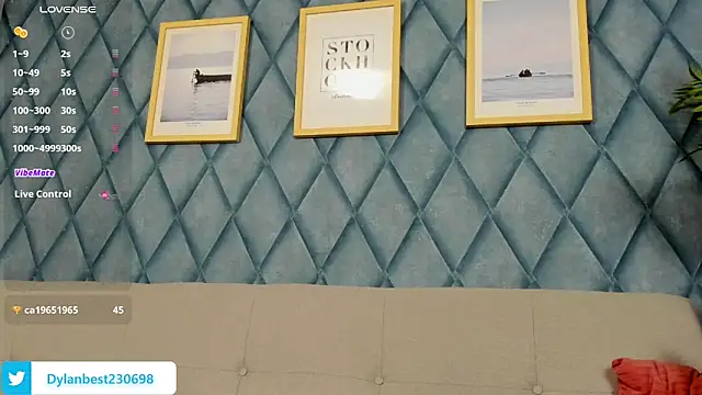 Dylan_Best webcam