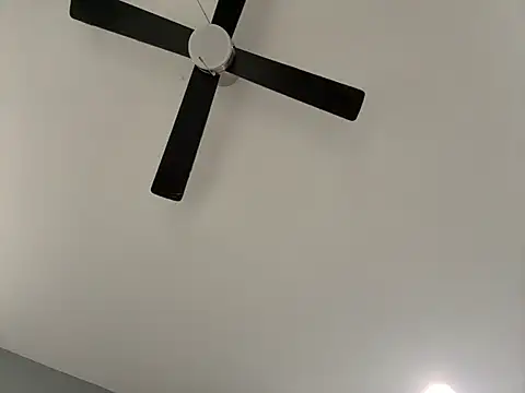 Enjoyedmine webcam