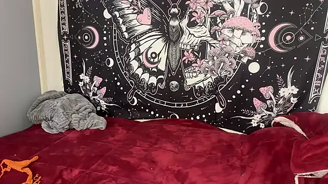 ari_kat webcam