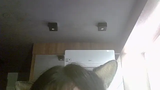 SkinnyKitten live cam on StripChat
