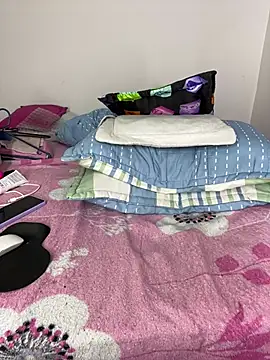 sandylau webcam