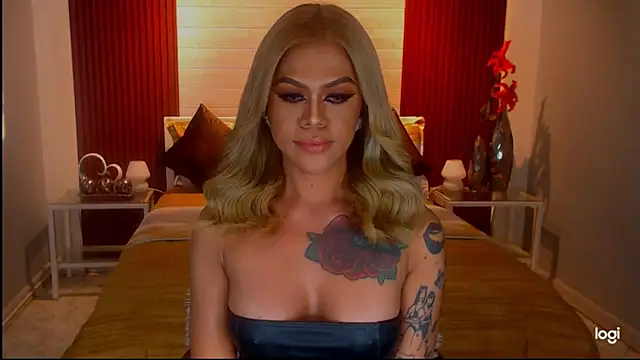 StellaStrong30 webcam