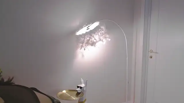 VeliaSai webcam