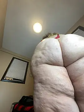 Tillymarie webcam
