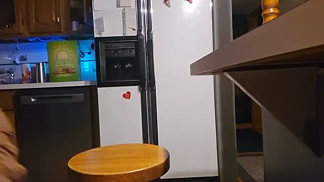 sloppytopkins webcam