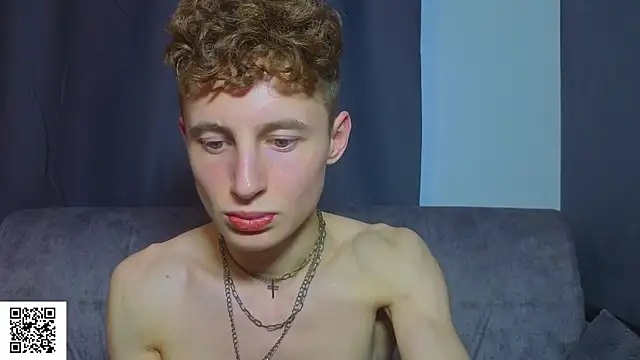 crispinver webcam