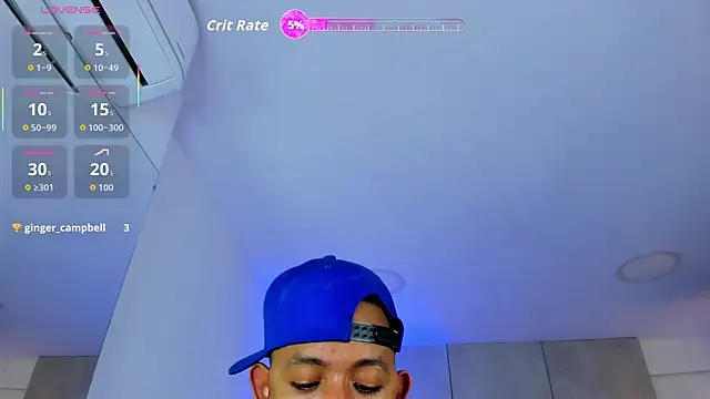 B_Wild webcam