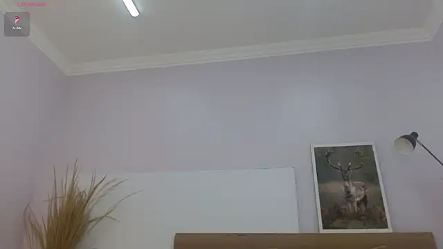 kimara_lion webcam