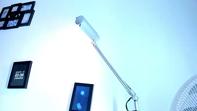 Pit_Ross webcam