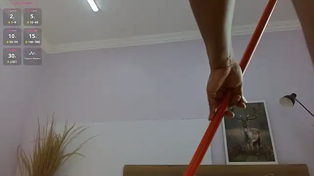 kimara_lion webcam