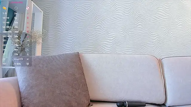 SageFrommer webcam