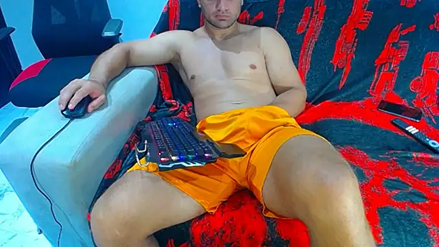 hugo_19cm webcam
