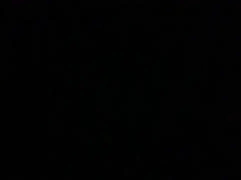 hpcouplee420 webcam