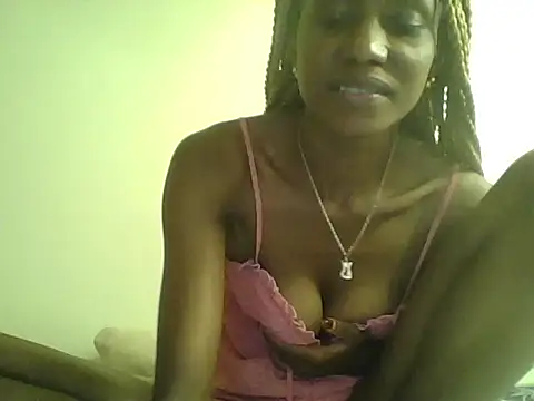 DelteAfriq webcam