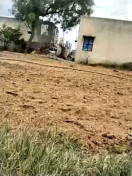 jellydicks webcam