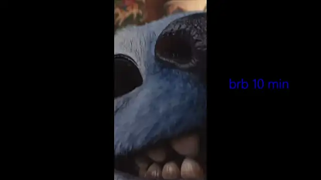 vinkitinkii webcam