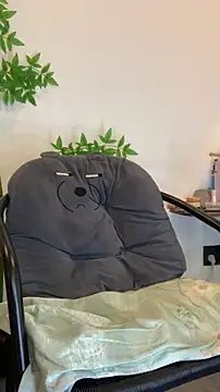 zhizhinaigai webcam