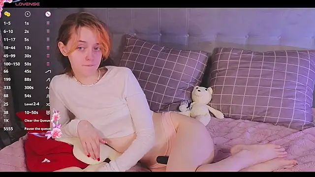 stelamontis webcam