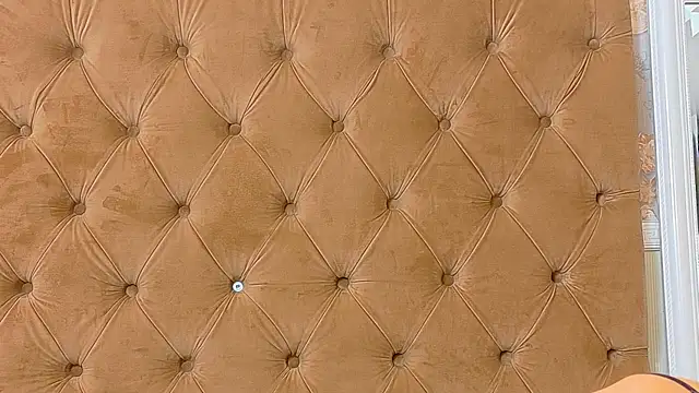 CoraVex webcam