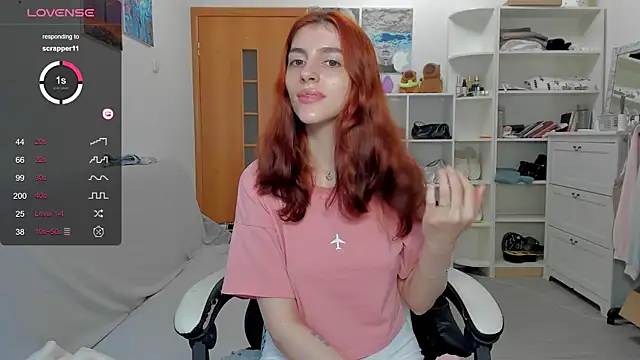 broosnica1 webcam