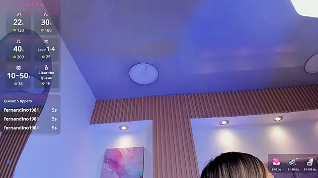 1Sloppy_Fox4 webcam