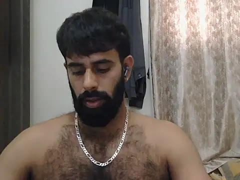 indianhairybull webcam