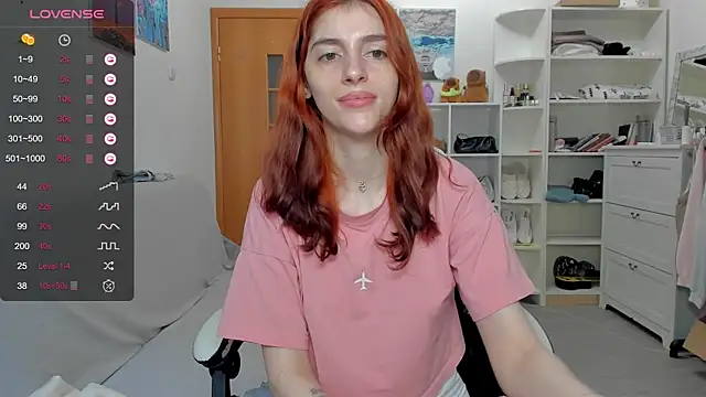 broosnica1 webcam