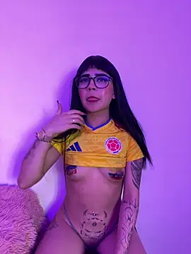 -Brittanny webcam