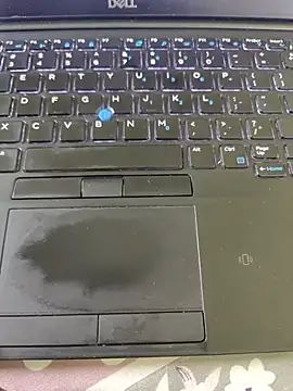 Veins_Dick webcam