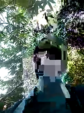 toyo_668 webcam