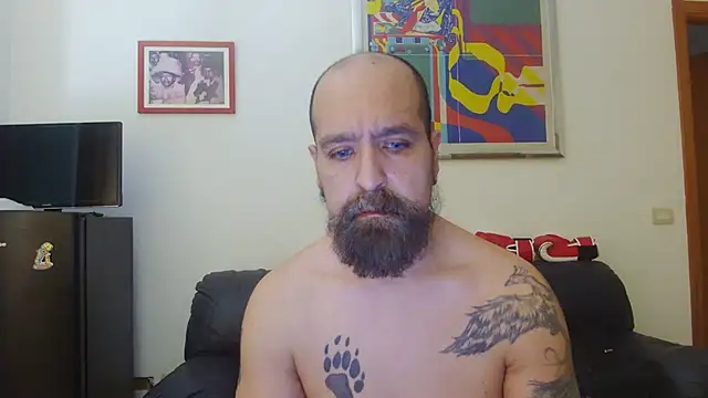 AMIRDIB2025 live cam on StripChat