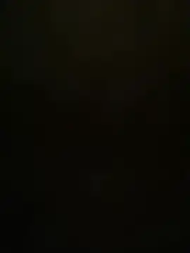 stuard-19 live cam on StripChat