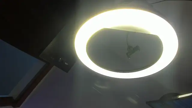 LittleeJaz live cam on StripChat