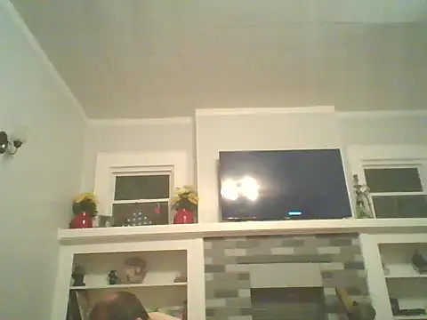 Gain2in1 webcam