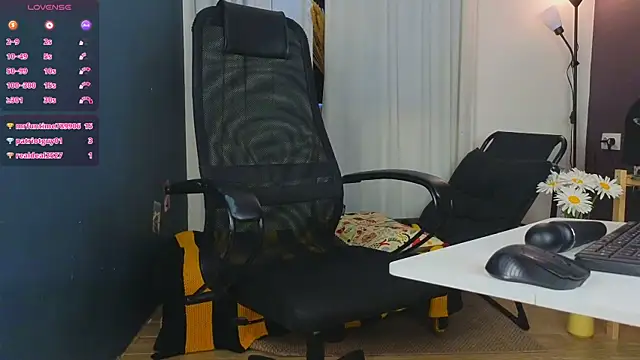 tmisss webcam