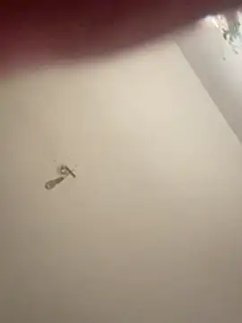 crisfootlicker live cam on StripChat