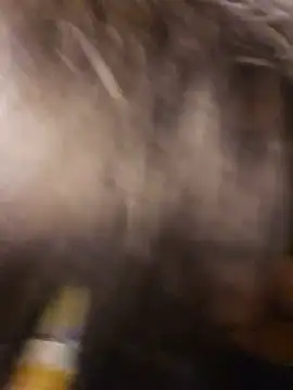 Latin_summer